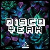 Disco Yeah!, Vol. 13 artwork