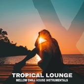 Tropical Lounge Mellow Chill House Instrumentals artwork