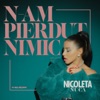 N-Am Pierdut Nimic - Single