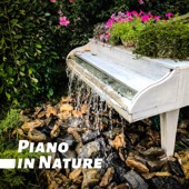 Piano in Nature - 25 Relaxing Piano Jazz & Nature Sounds, Tranquil Collection artwork