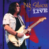 Blues Classics Live (Live) artwork