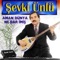 Sensin Tek Arzum - Şevki Ünlü lyrics