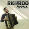 Dois Rubis (feat. Irah Caldeira) - Ricardo Lima lyrics