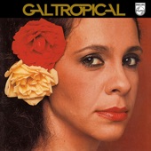 Gal Costa - India