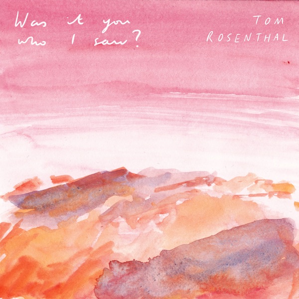 Tom Rosenthal - Was It You Who I Saw? | LetsLoop