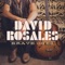 Brave Ones (Come with Me) - David Rosales lyrics