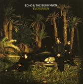 Echo & The Bunnymen - Rescue (Live)
