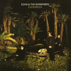 Evergreen (Expanded) - Echo & The Bunnymen