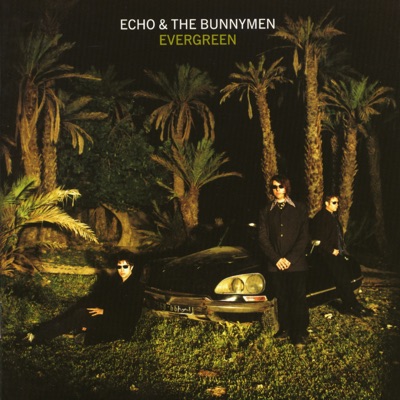 Evergreen (Expanded) - Echo & The Bunnymen