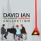 Winter Wonderland (feat. Andre Miguel Mayo) - David Ian lyrics