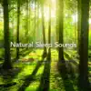 自然と眠れるリラクゼーション・ミュージック -癒しの疲労回復BGM- album lyrics, reviews, download