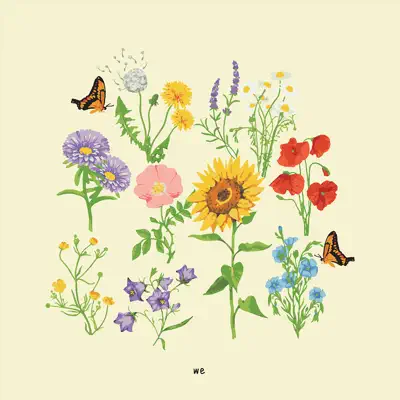 we - Gnash