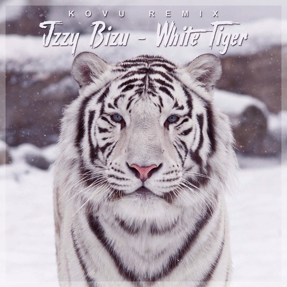 Izzy Bizu White Tiger