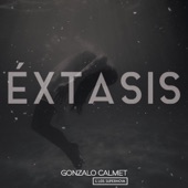 Éxtasis artwork