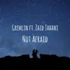 Not Afraid (feat. Zaid Tabani) - Single album lyrics, reviews, download