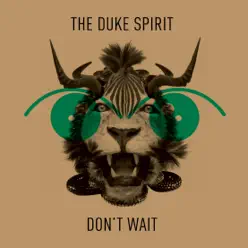 Don't Wait - Single - The Duke Spirit