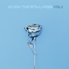 Enjoy The Stillness, Vol. 1