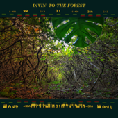 Divin' To the Forest - EP - Wavy