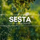 Sesta - a Melhor Música para Dormir, Tratamento para Insônia, Ansiedade, Estresse artwork