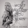 Won't Follow You Down - Single