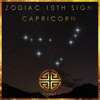 Zodiac 10th Sign: Capricorn