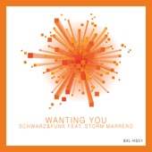 Wanting You (feat. Storm Marrero) artwork
