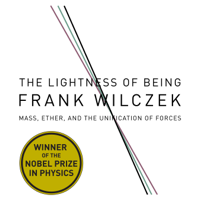 Frank Wilcze - The Lightness of Being: Mass, Ether, and the Unification of Forces artwork
