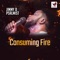 Consuming Fire artwork