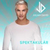 Julian David - Spektakulär