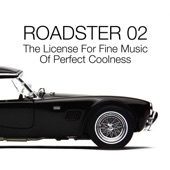 Roadster 02 - The License for Fine Music of Perfect Coolness artwork