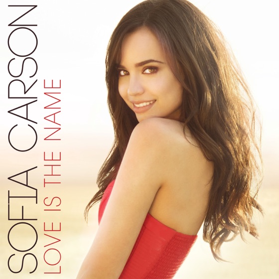Cover artwork for Love Is the Name