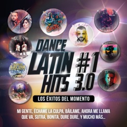 Luis Fonsi - Échame La Culpa