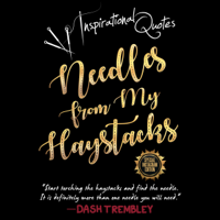 Dash Trembley - 111 Inspirational Quotes: Needles from My Haystacks: Weaving Your Bold & Beautiful Life with Daily Mindfulness Quotes (Where the Heart Meets the Mind, Book 2) (Unabridged) artwork