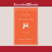 Mark Haddon - Curious Incident of the Dog in the Night-time artwork