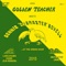 Like a Hawk (DB Version) - Golden Teacher lyrics