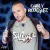 Stream & download Salvaje - Single