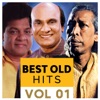 Best Old Hits, Vol. 1