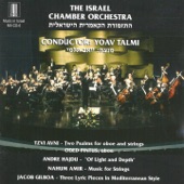 The Israel Chamber Orchestra artwork