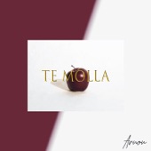 Te Molla (feat. Killua) artwork