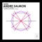 Endless Pleasure (Jordano Roosevelt Remix) - Andre Salmon lyrics