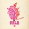 Today Is the Day - Eels lyrics