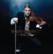 Clair de lune - David Garrett lyrics