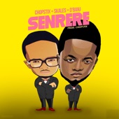 Senrere (feat. Skales & D'Banj) artwork
