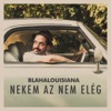 Nekem Az Nem Elég - Single