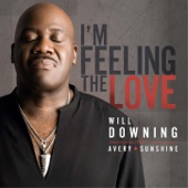 I'm Feeling the Love (feat. Avery*Sunshine) artwork