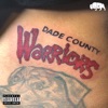 Dade County Warriors