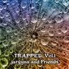 …and Friends: Trapped Vol. 1