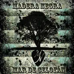 Mar de Celofán - Madera Negra