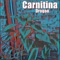 Carnitina - Drogao lyrics
