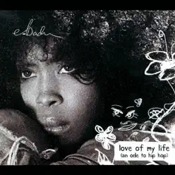 Love Of My Life (Ode To Hip Hop) - EP [Int'l Comm Single] - Erykah Badu